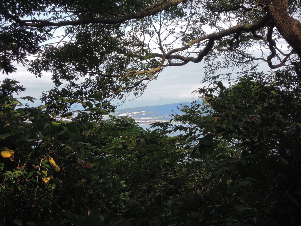 樹間から見える静岡市街地